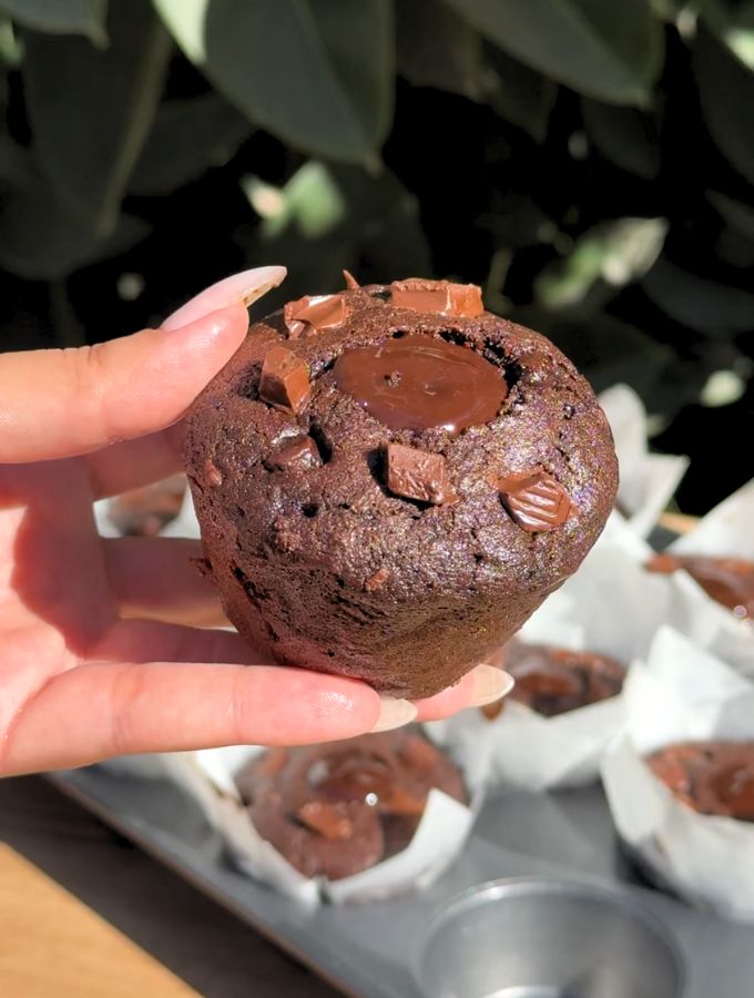 Hand holding a double chocolate muffin.