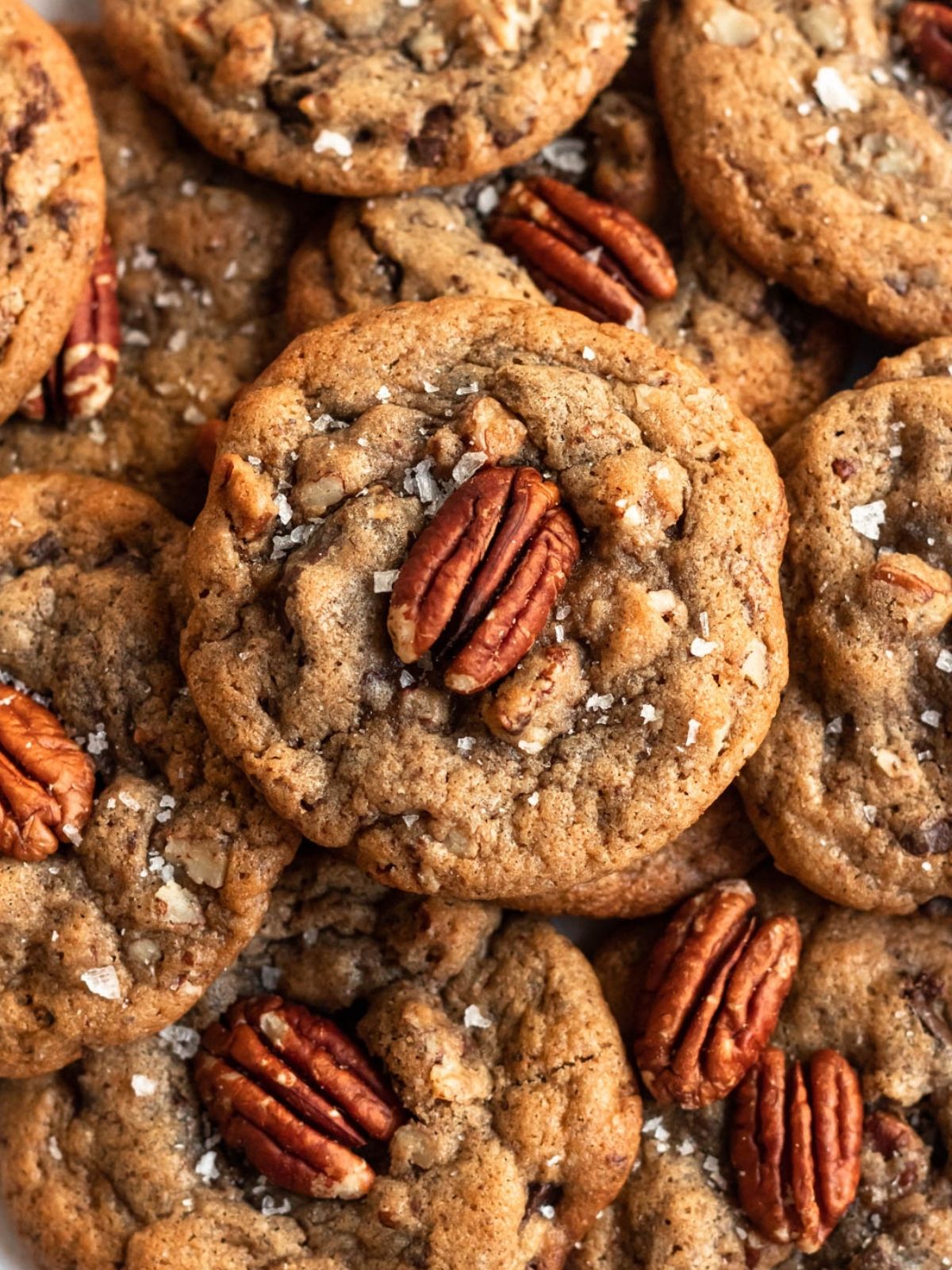 Overhead shot of a bunch of pecan butter cookies.