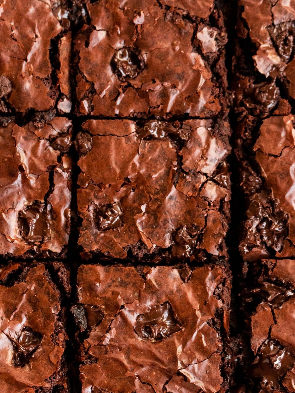 Overhead shot of sliced brownies.