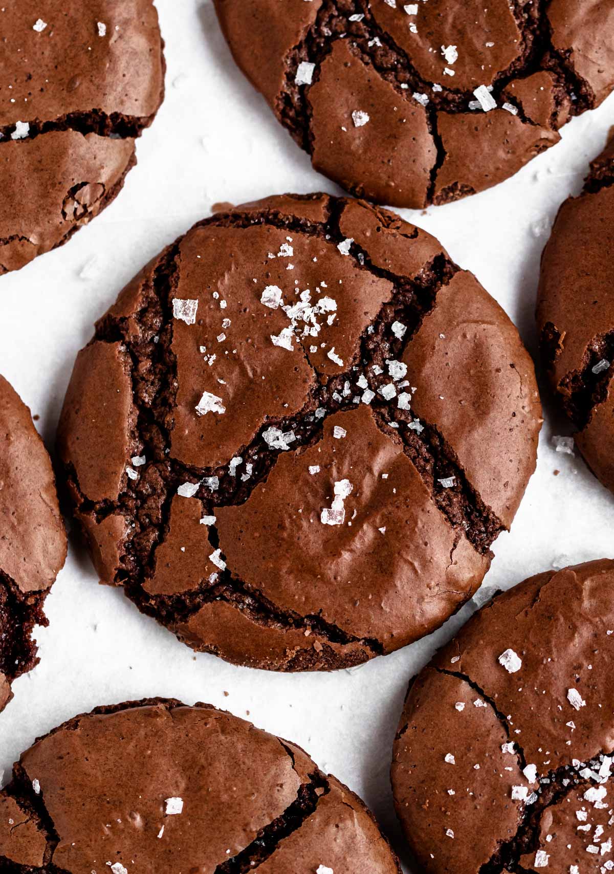 Overhead shot of brownie cookies.