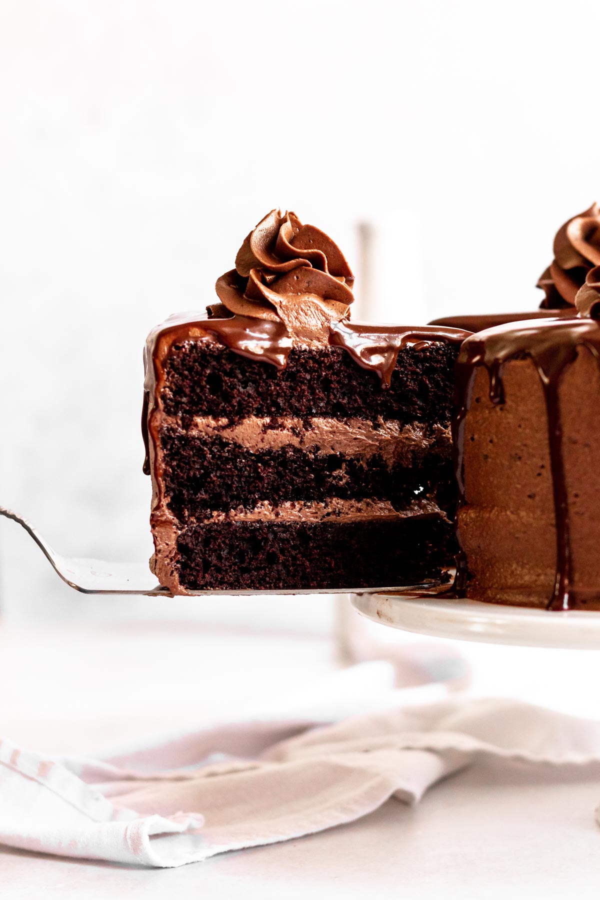 Triple Chocolate Cake (One Bowl) - Rich And Delish