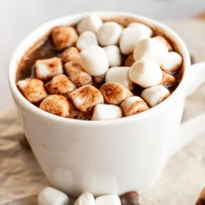 Hot chocolate recipe with cocoa powder in a mug with mini marshmallows.