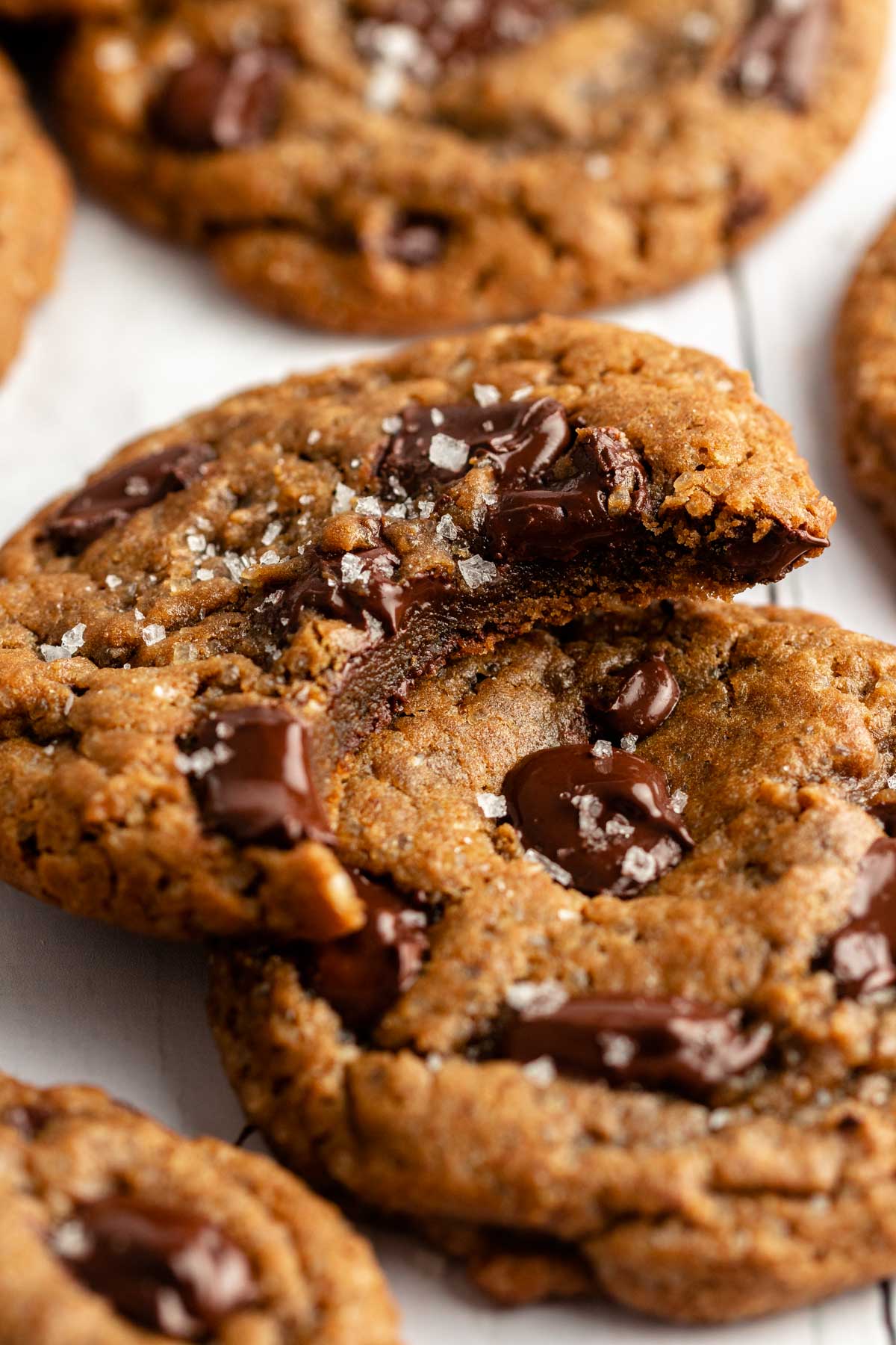 Super close up of a cookie with a bite missing.