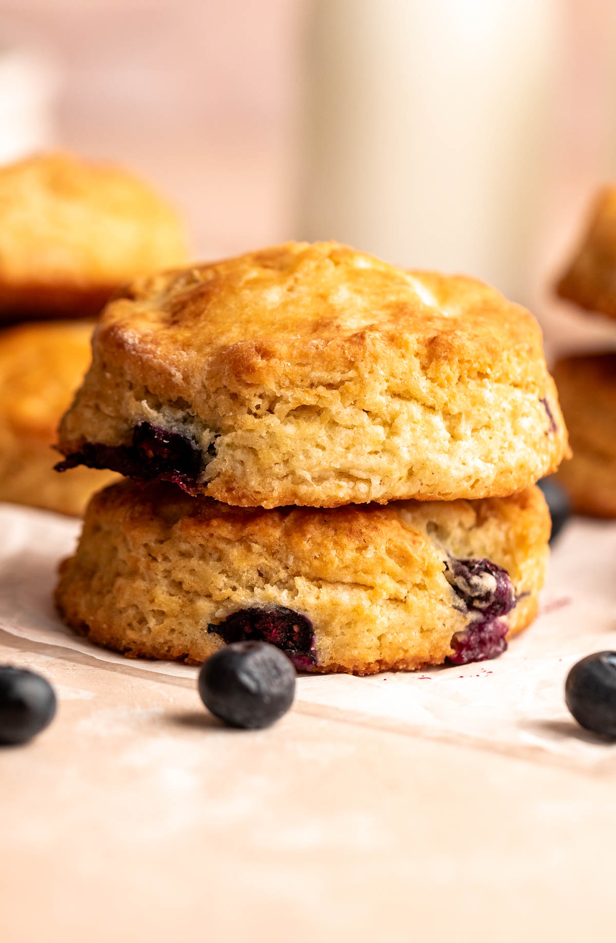 Close up shot of two blueberry biscuits.