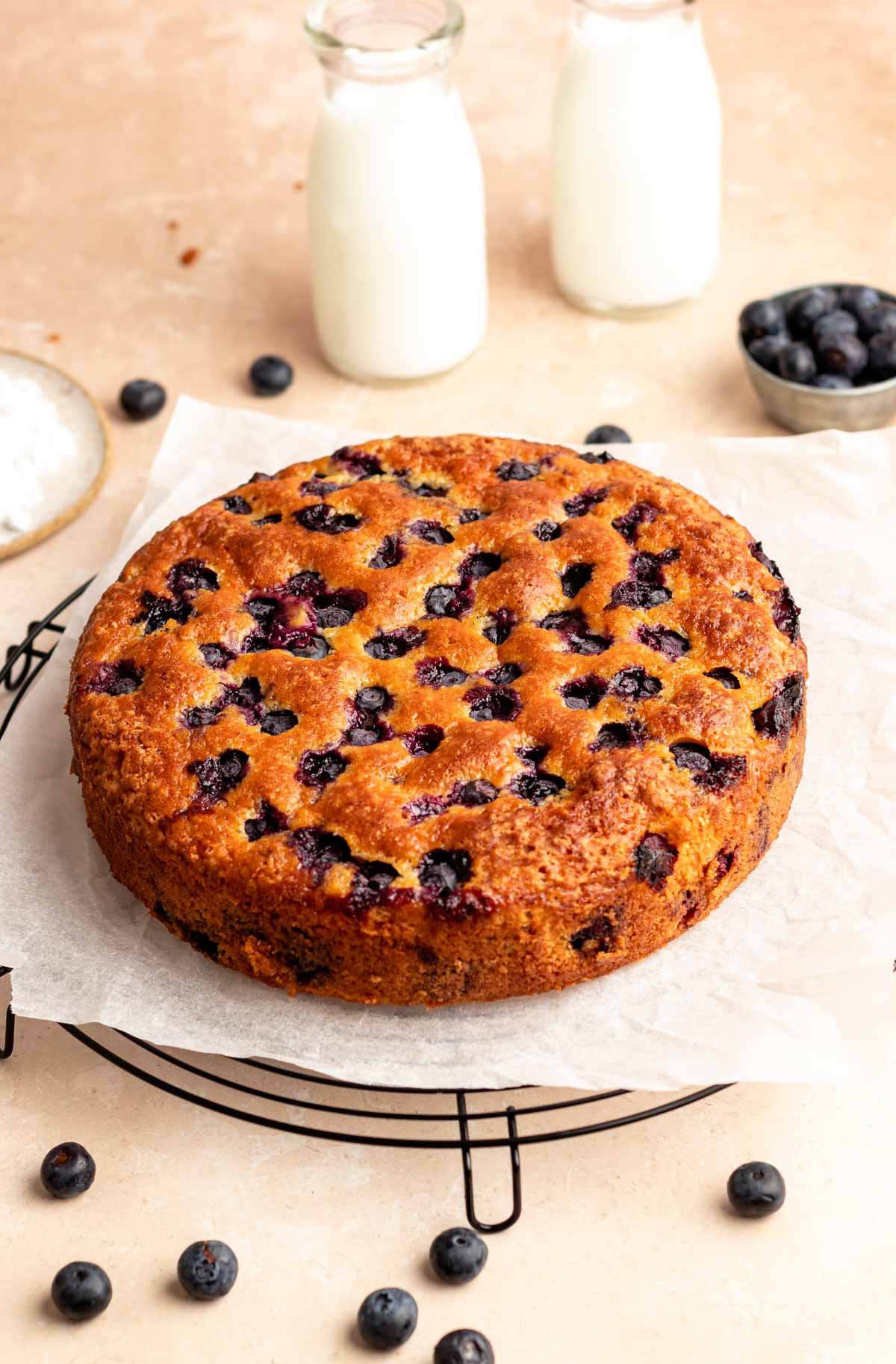 Blueberry cake on a cooling rack.