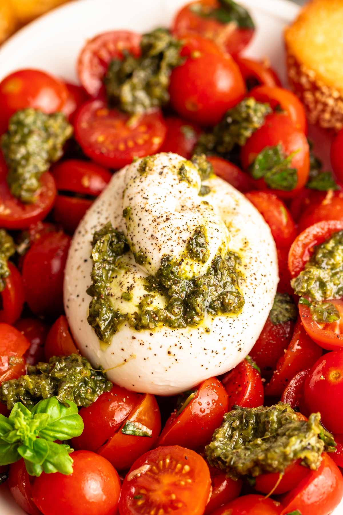 Close up shot of a large white plate with tomatoes and burrata garnished with pesto.