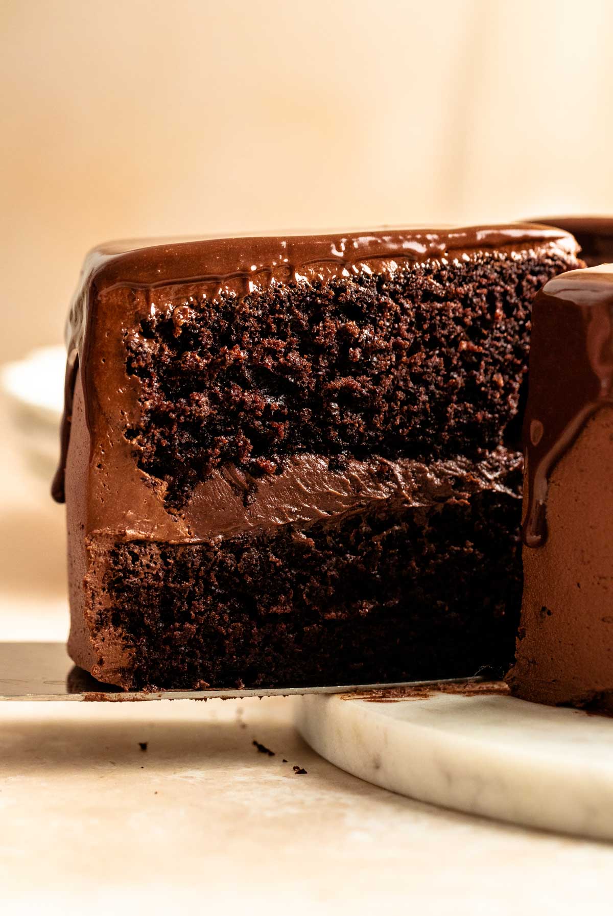 Close up shot of chocolate cake with ganache.