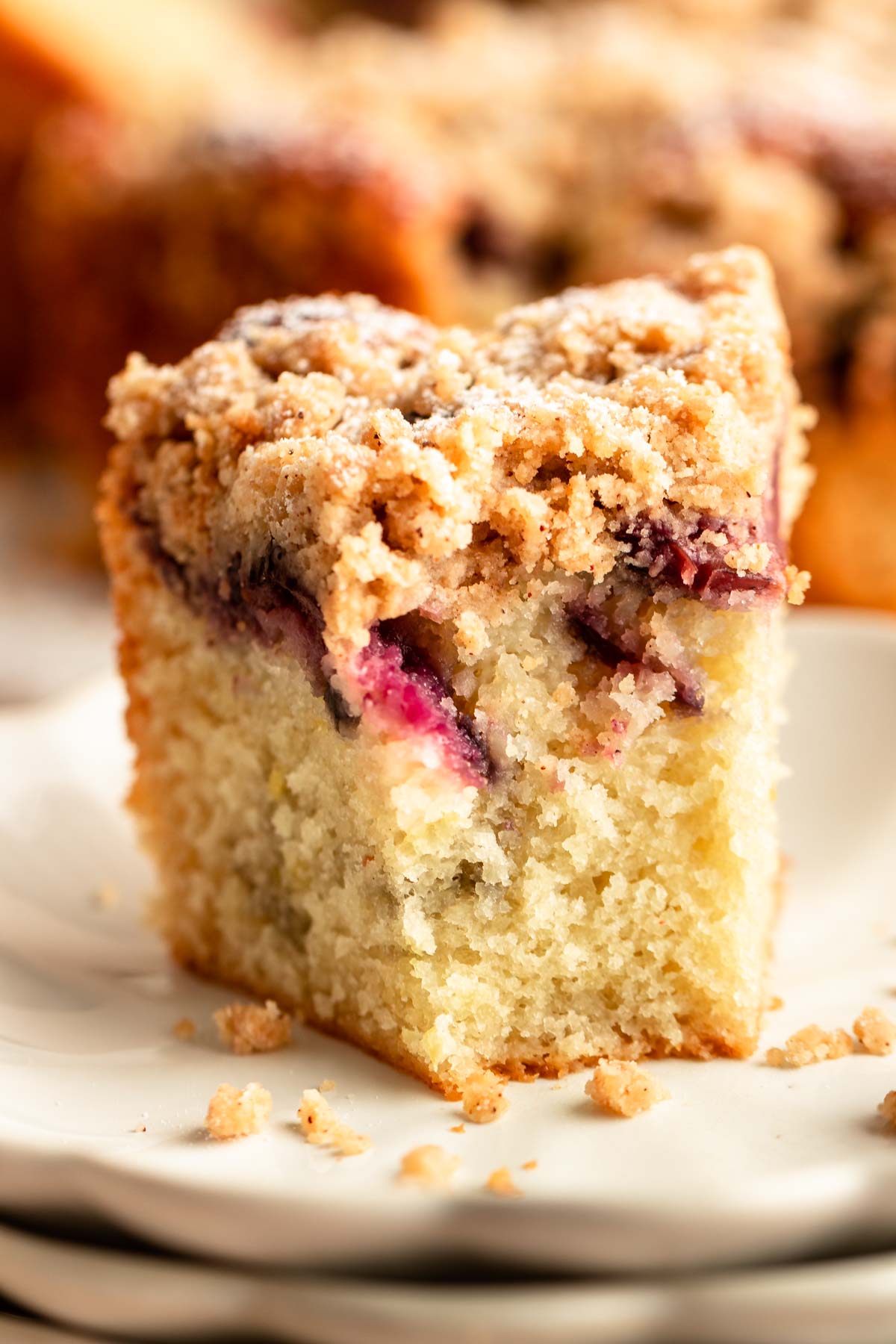 Close up shot of a slice of cherry coffee cake.