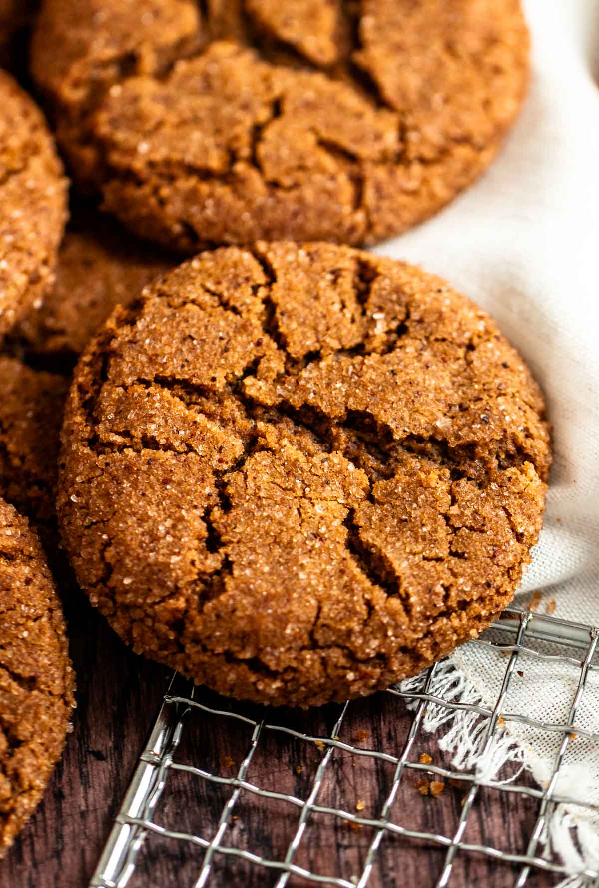 Close up shot of a gingersnap cookie.