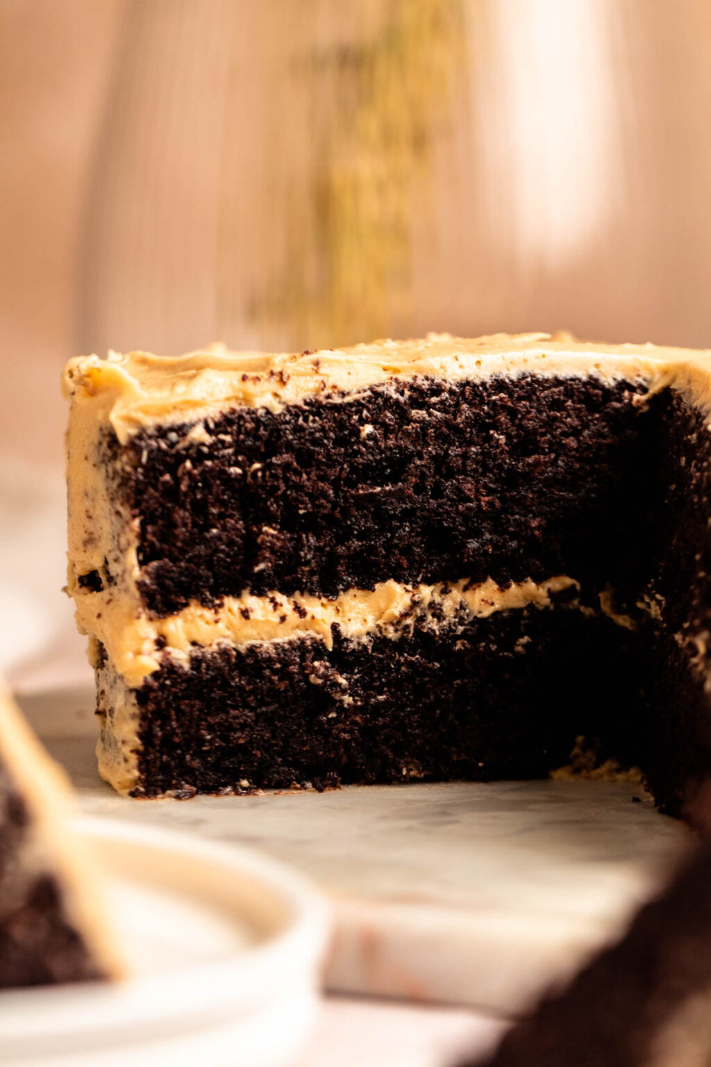 Chocolate Cake With Peanut Butter Frosting - Rich And Delish