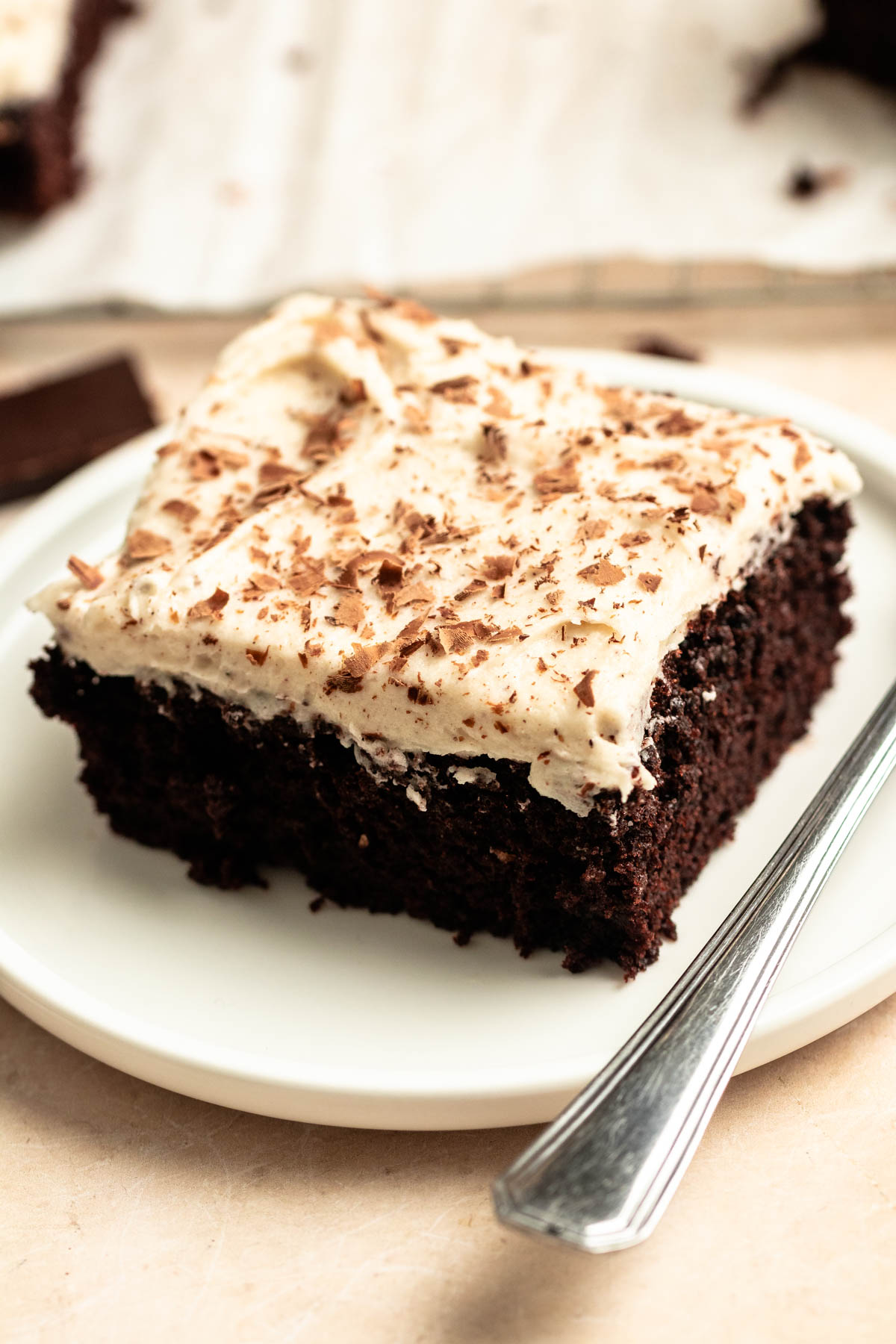 Slice of spicy Mexican chocolate cake.