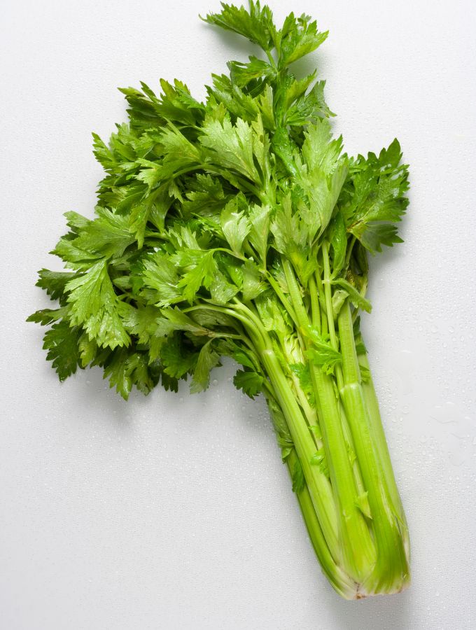 Top of celery with its leaves.