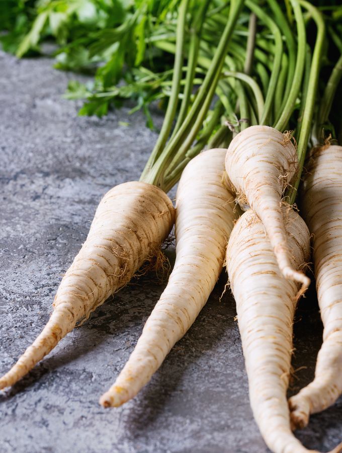 Pile of parsnips with their stems on.