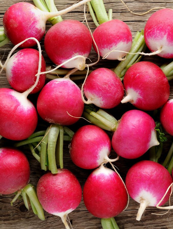 Pile of red radishes.