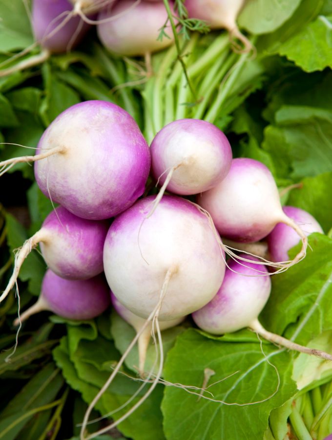 Pile of whole turnips.