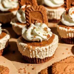A close-up focus on a single mini Biscoff cheesecake, showcasing the layered biscuit crust, cheesecake filling, and topped cookie butter spread.
