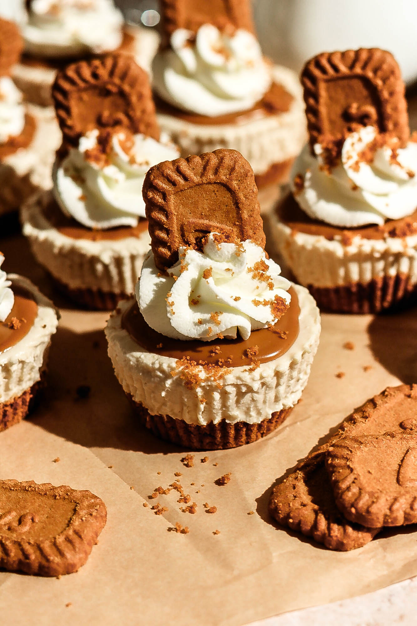 An overhead angled shot of multiple mini no-bake Biscoff cheesecakes arranged on parchment paper with loose cookie crumbs around them.