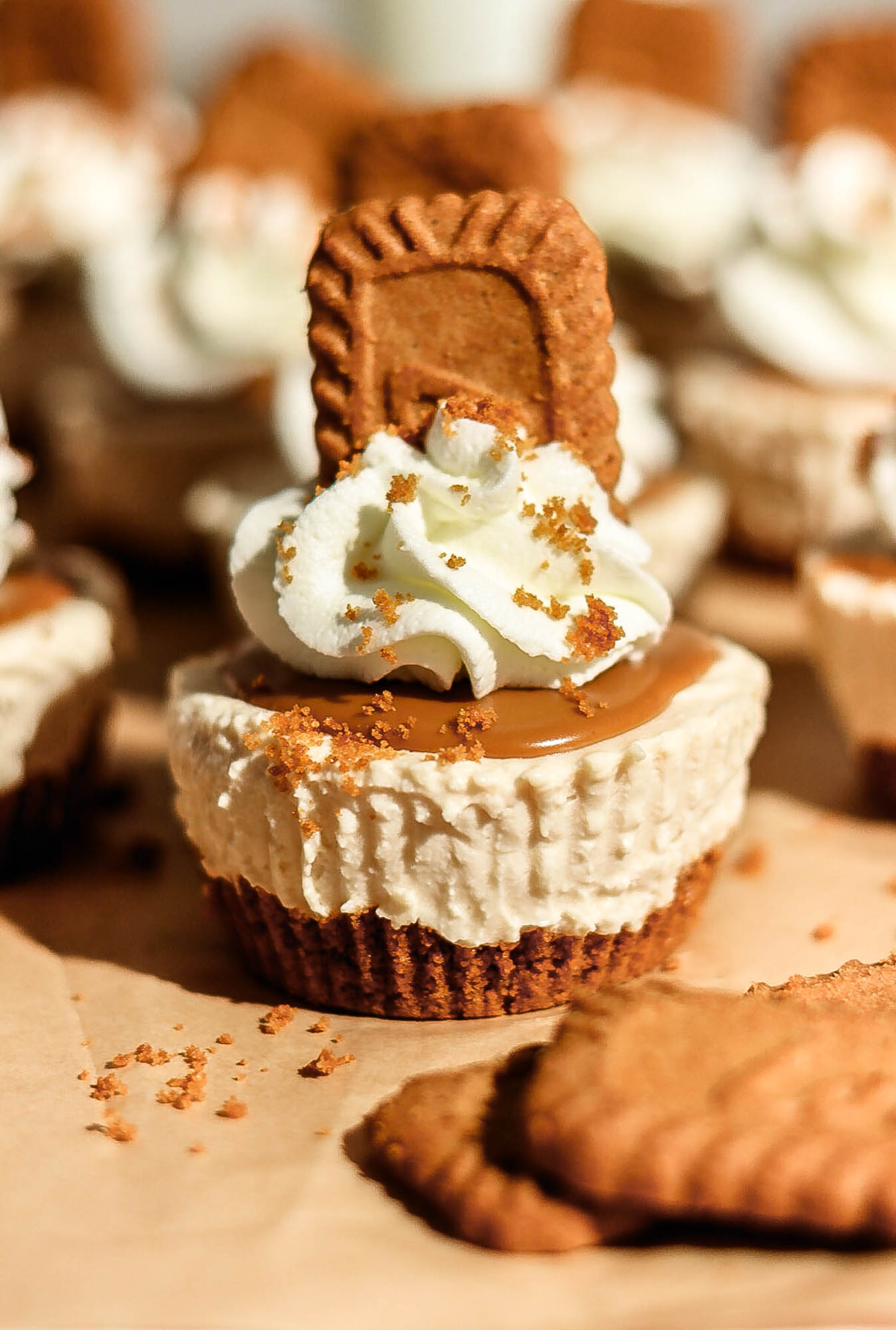 A close-up focus on a single mini Biscoff cheesecake, showcasing the layered biscuit crust, cheesecake filling, and topped cookie butter spread.
