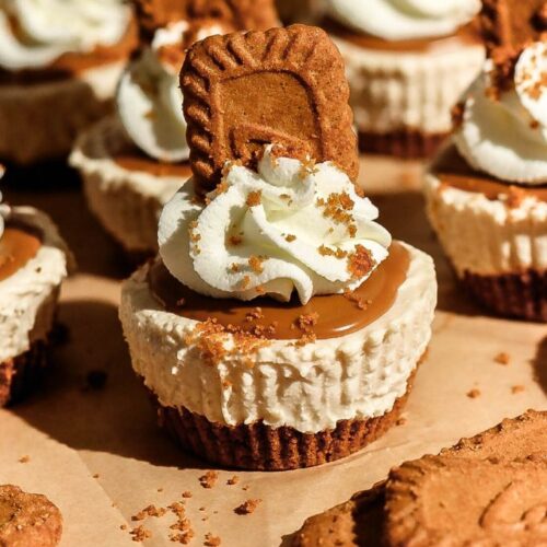 A close-up focus on a single mini Biscoff cheesecake, showcasing the layered biscuit crust, cheesecake filling, and topped cookie butter spread.
